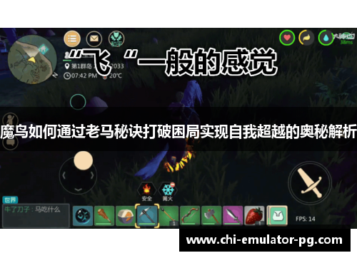 魔鸟如何通过老马秘诀打破困局实现自我超越的奥秘解析