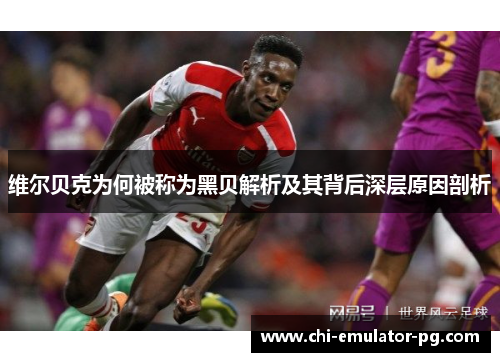 维尔贝克为何被称为黑贝解析及其背后深层原因剖析