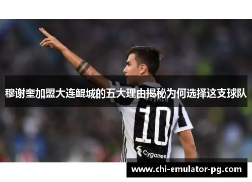 穆谢奎加盟大连鲲城的五大理由揭秘为何选择这支球队 穆谢奎加盟大连鲲城的五大理由揭秘为何选择这支球队