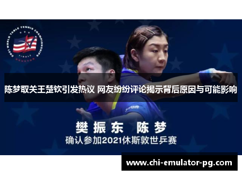陈梦取关王楚钦引发热议 网友纷纷评论揭示背后原因与可能影响