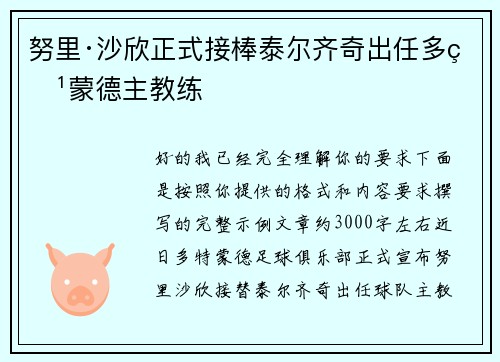 努里·沙欣正式接棒泰尔齐奇出任多特蒙德主教练 努里·沙欣正式接棒泰尔齐奇出任多特蒙德主教练
