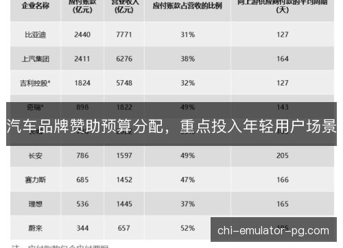汽车品牌赞助预算分配，重点投入年轻用户场景